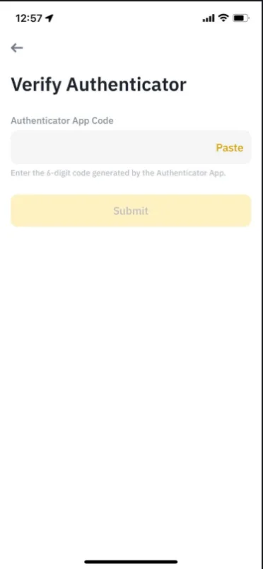 币安 App 验证验证器页：验证码输入框，右侧粘贴按钮，下方【提交】